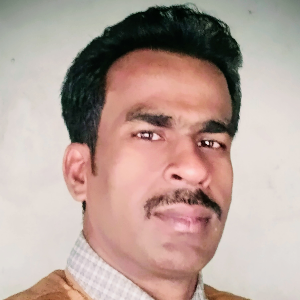 রবিন রায়