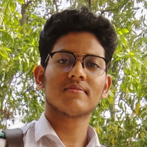 হাসনাতুল বারী উচ্ছ্বাস