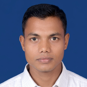 এম আলী হুসাইন