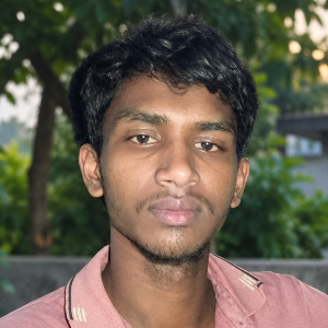আব্দুল হান্নান মিয়া