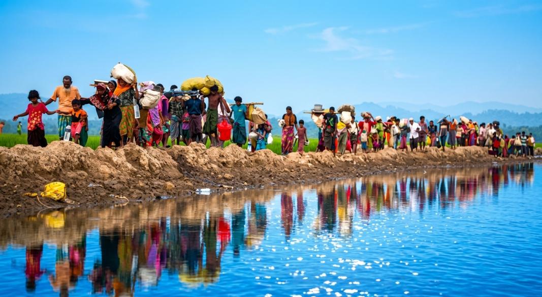 ছবি : সংগৃহীত