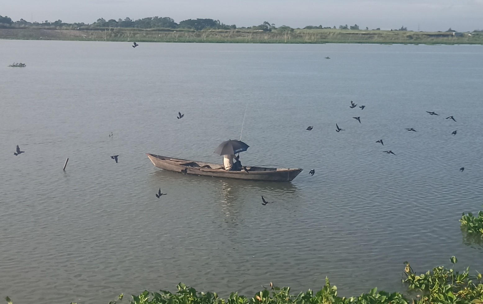 খেয়া নৌকায় বসে বড়শি দিয়ে মাছ শিকার, মেঘনা,  নরসিংদী