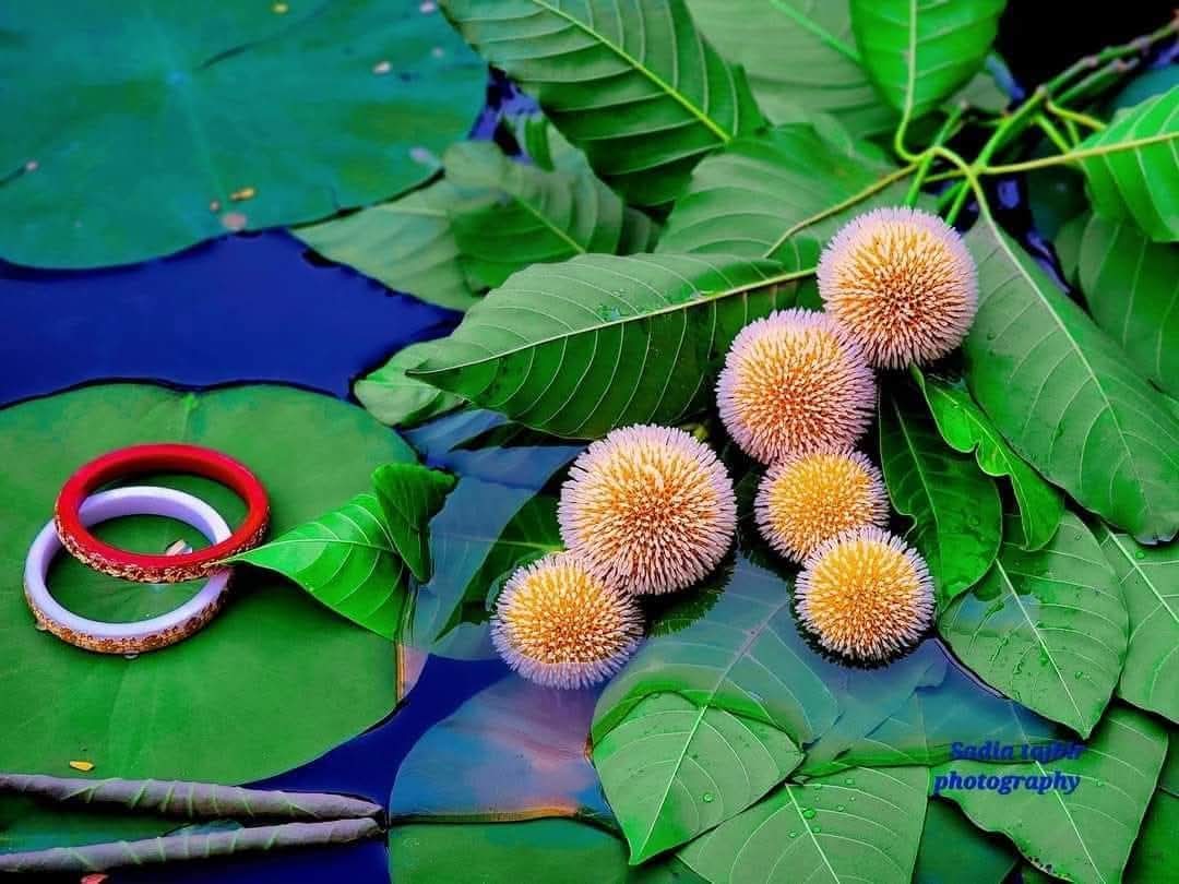 আষাঢ়স্য আবেগ