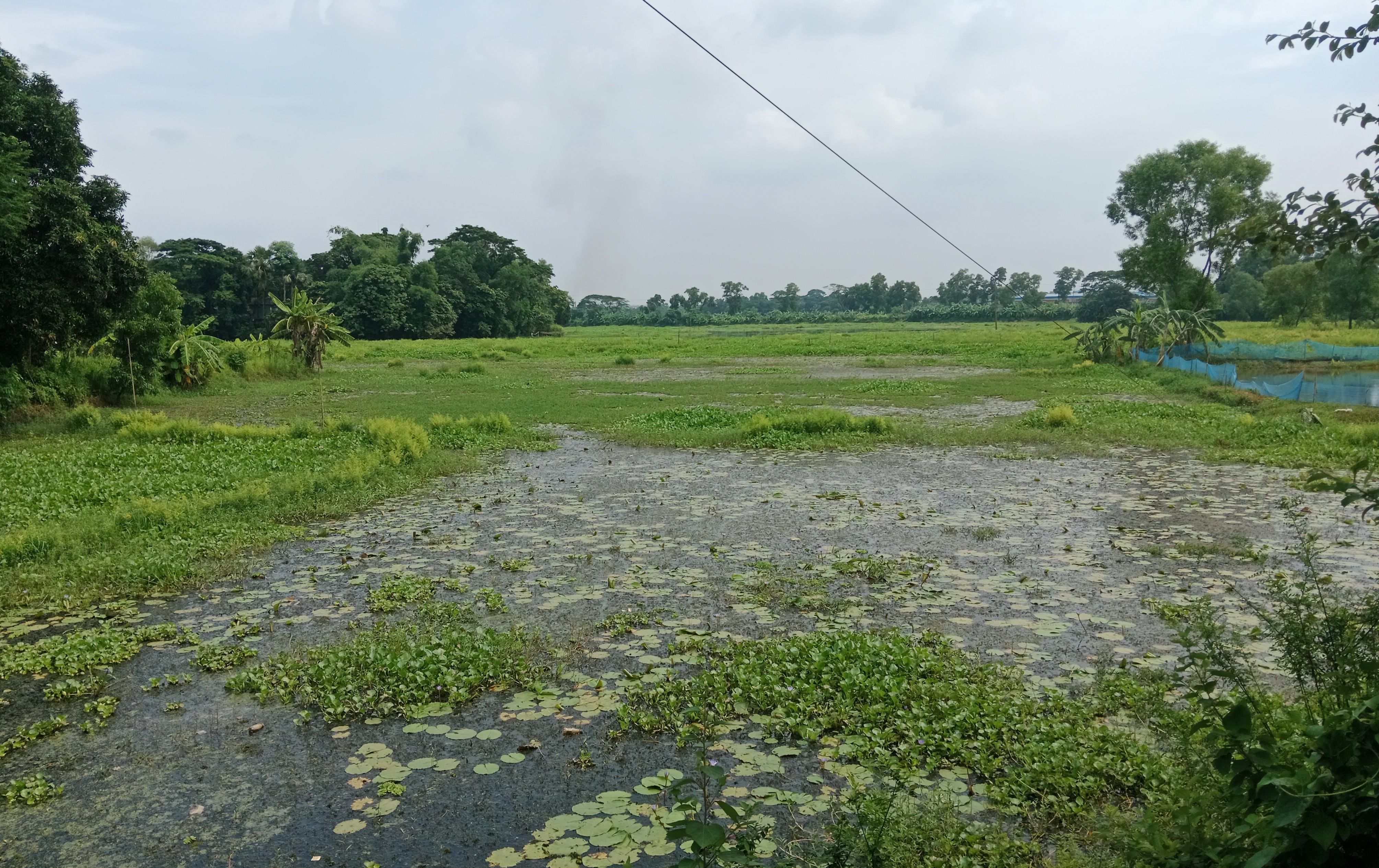 জল ও প্রকৃতির গল্প, পলাশ, নরসিংদী
